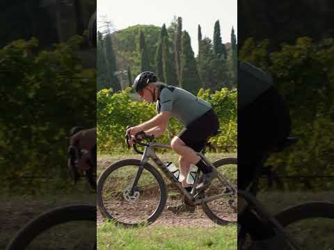 LAKE - MX239 GRAVEL WHITE/BLACK